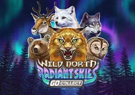 Wild North Radiant Skies GO Collect screenshot